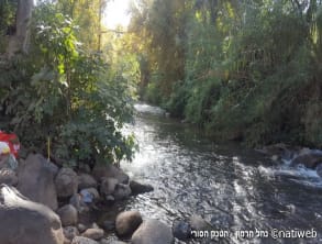 הטנק%20הסורי%20-%20נחל%20חרמון%20,%20נחל%20חרמון